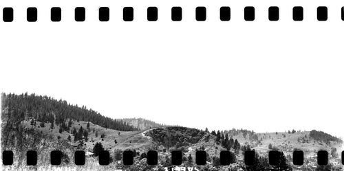 Ilford HP5 Plus - 35mm - 36exp